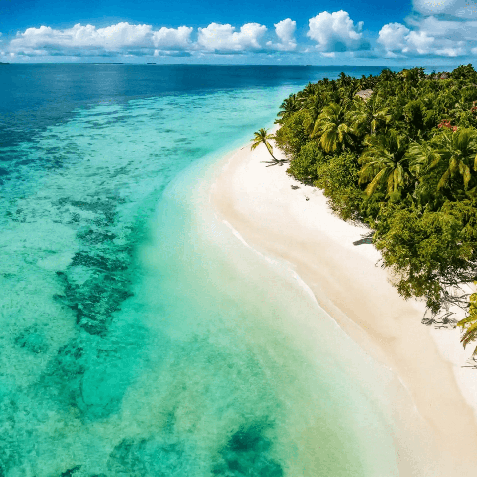 A culinary adventure at 30,000 feet