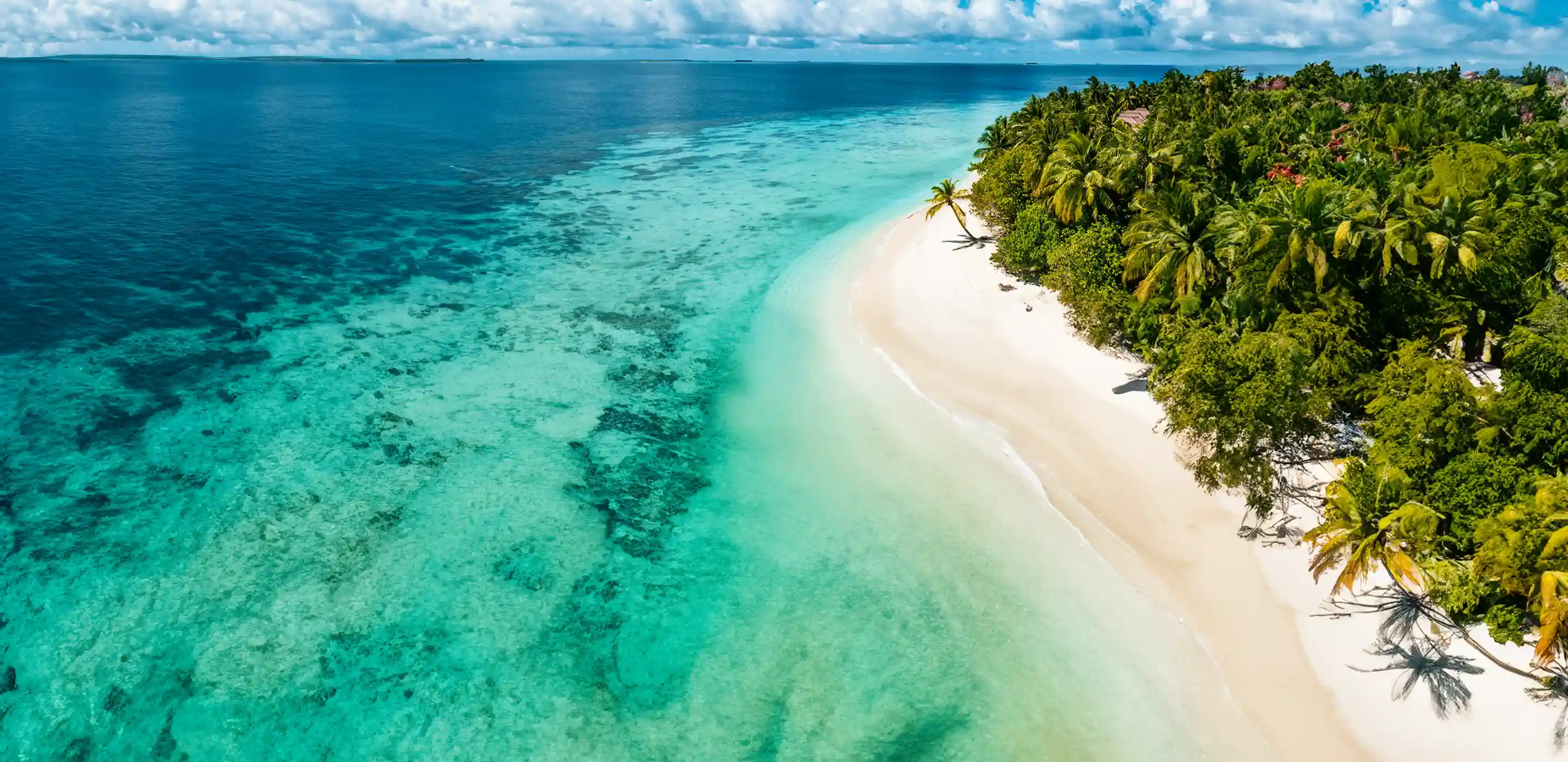 A culinary adventure at 30,000 feet